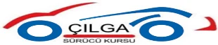 Çılga Sürücü Kursu logosu
